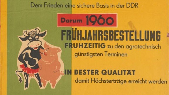 Agitationsplakat zur "Frühjahrsbestellung auf neue Art", nämlich "in der Genossenschaft", der SED-Bezirksleitung Schwerin 1960.