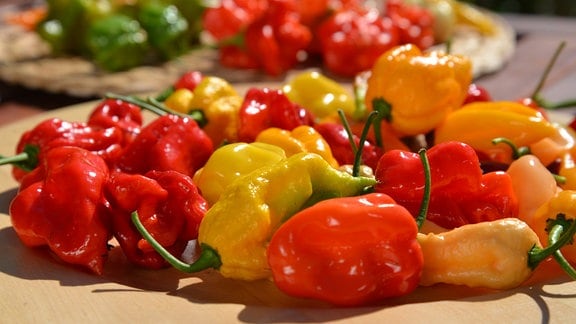 Gelbe, Rote und orangene Chilischoten liegen auf einem Holzbrett. 