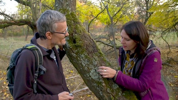 Anke Deleiter und Dr. Christian Printzen an einem voll mit Flechten bewachsenen Baum