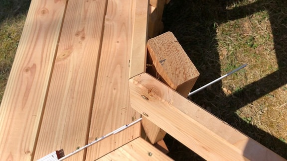 Eine Holzlehne von einer Baumbank.