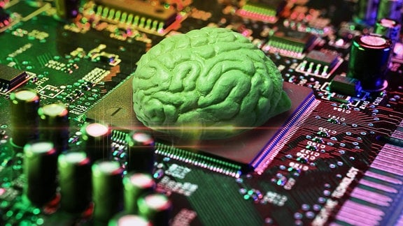 Menschliches Gehirn auf einem Computerchip