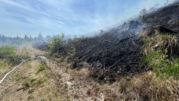 Waldbrand Kleiner Winterberg Harz bei Schierke