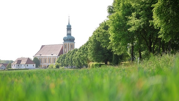 Die weithin sichtbare Wallfahrtskirche von Rosenthal