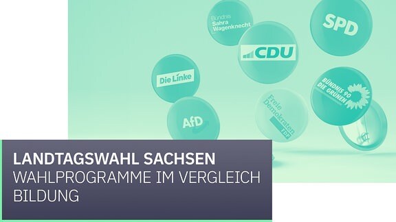 Vor Parteilogos steht Wahlprogramme im Vergleich
