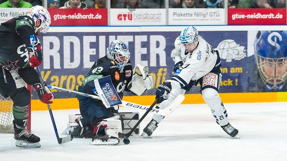 Matej Mrazek gegen Ilya Sharipov