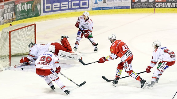 Eispiraten Eispiraten gegen die Eisbären Regensburg