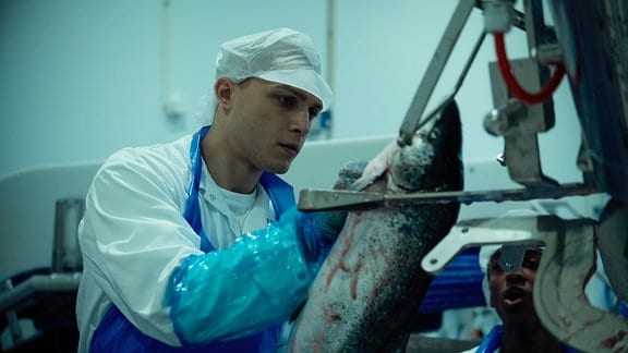 Ein Mann mit Schutzhaube und Schürze in einer Fabrik verarbeitet einen Fisch.