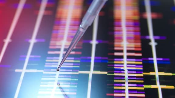 DNA