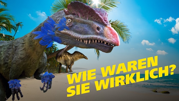 Dinosaurier vor einer urzeitlichen Küstenlandschaft. Text: Wie waren sie wirklich?